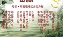 有关于母爱的格言