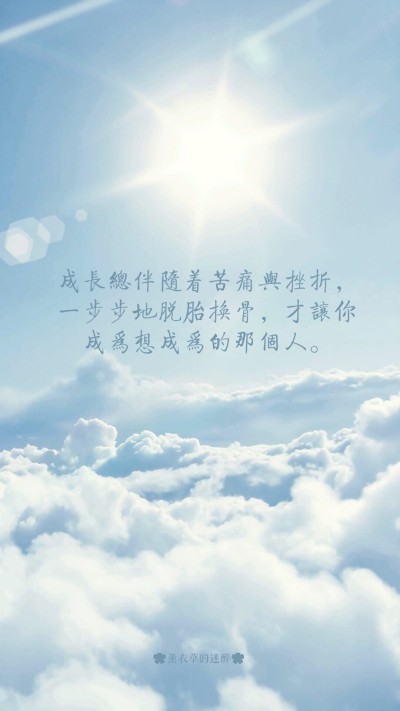 阳光行情