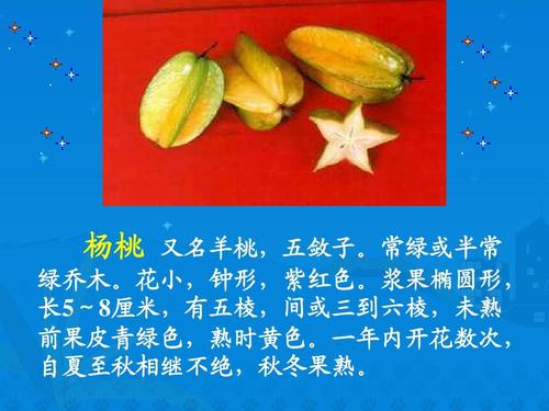 关于杨桃的寓言