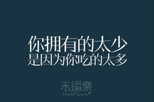 减肥报价