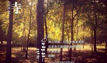 描写初秋阳光的句子