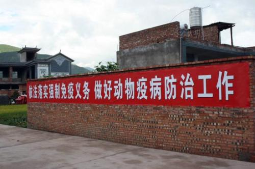 防疫口号
