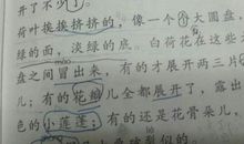 希望是什么比喻句