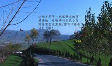 歇后语魔术师变戏法