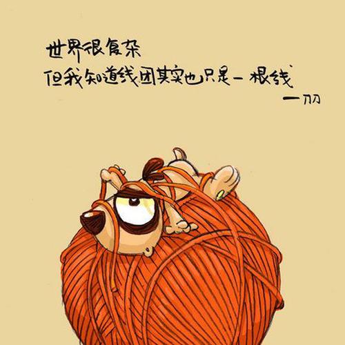 刀报价全集