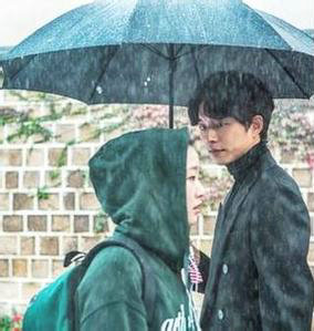 回忆被雨淋湿了，我还是不痛