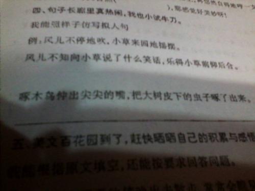 鞋子拟人化句子