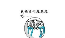 如愿以偿造句大全