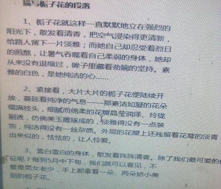 描述garden子花的寓言句子