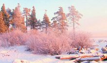 描写冬天的句子和段落摘抄：忽如一夜春风来，千树万树梨花开