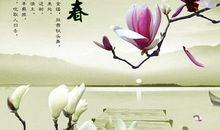 二十四节气立春谚语