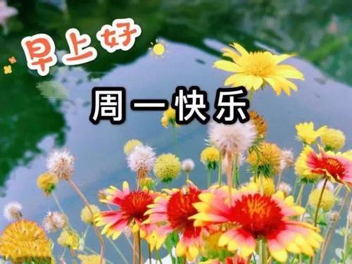 天气的祝福