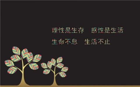 姐姐的婚礼问候