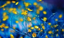 形容梦想的比喻句