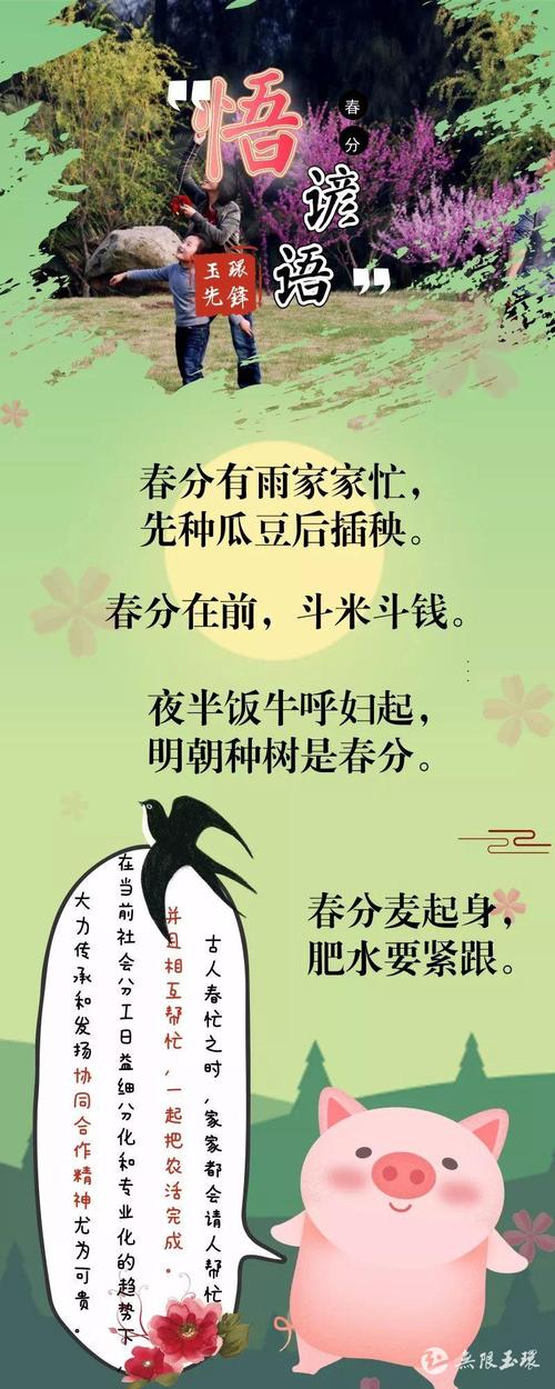 春分节气的谚语
