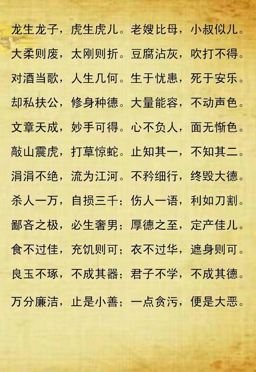 初中生常用的100种俗语和谚语