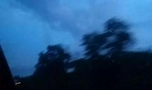 文艺唯美的句子短句：燃尽的风华，为谁化作了彼岸花