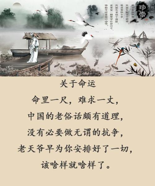 人类谚语