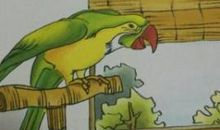 八哥学舌歇后语