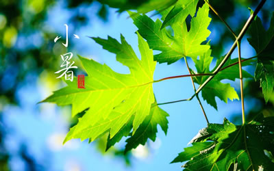 夏天的小祝福