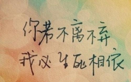 老年人审美爱情语录