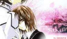 吸血鬼骑士经典语录