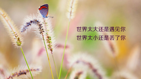 带有文字图片的美丽句子1