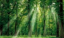 形容自然风光的句子