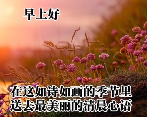 有趣的问候