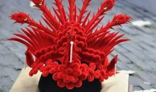 关于花草的谚语