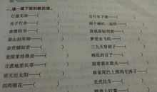 和影子交朋友歇后语