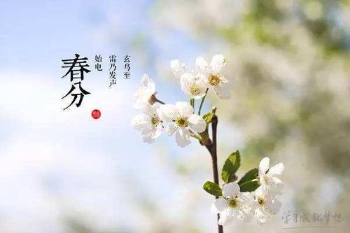 关于春分的农业谚语