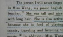 描写奶奶外貌的句子