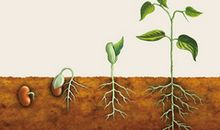 企业微语录精选