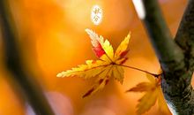 生意祝福语大全2020