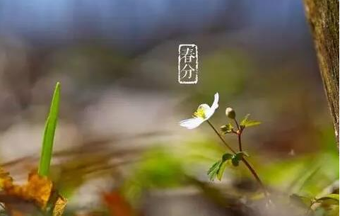 春分谚语
