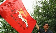 瞎起哄的歇后语