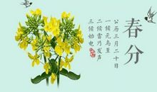 有关春分的谚语
