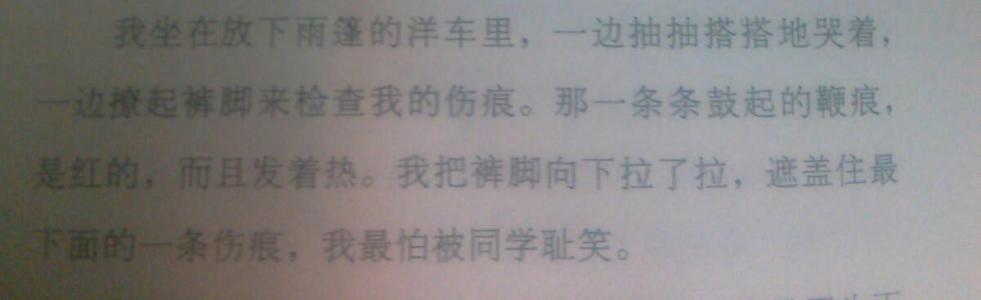 从城市南部的旧事物说好话