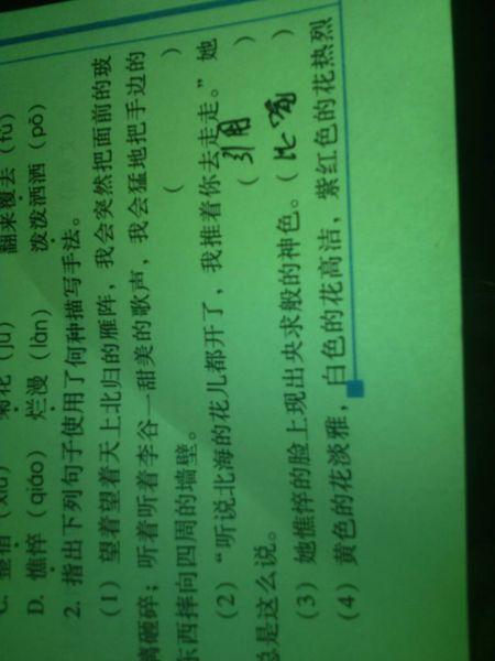 自由并行