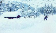 描写初雪的唯美诗句