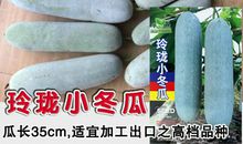 冬瓜像什么比喻句