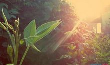 关于修身的谚语