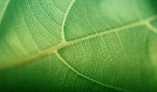 男生头发的比喻句