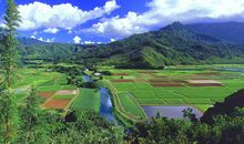 描写田园风光的段落