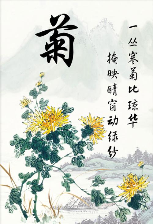 关于菊花的寓言