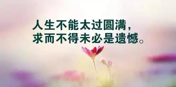 查看适合发送给朋友圈的生活句子
