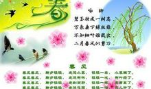 有关春天的好词好句