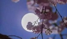 触景生情的诗句