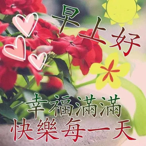 希望公司判决